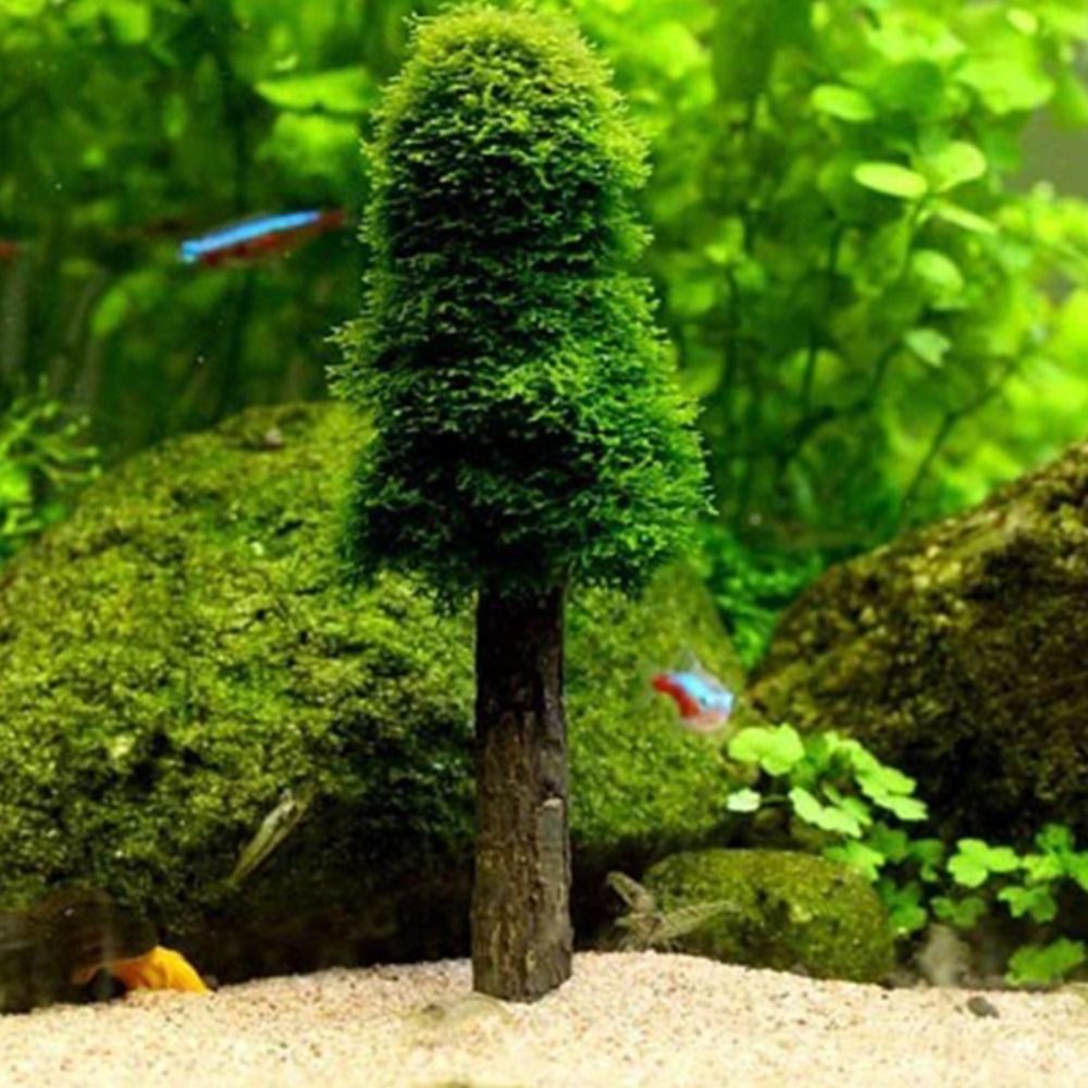 Aquarium Planted Background - Simulasi Pohon Natal Akuarium Tempat Tanaman