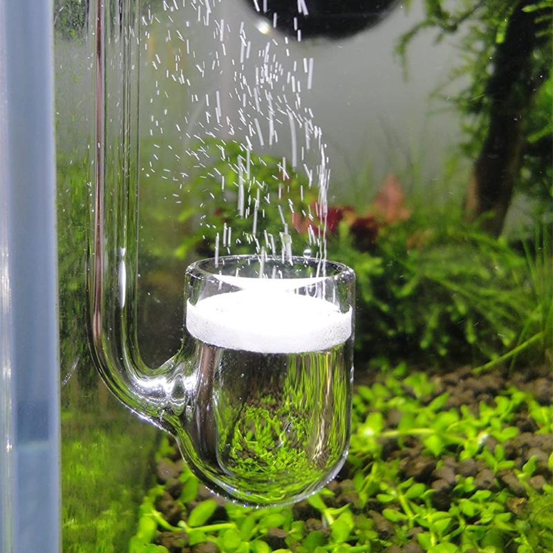 Aquarium Plant No Co2 - D0AD Kaca CO2 Diffuser untuk Akuarium