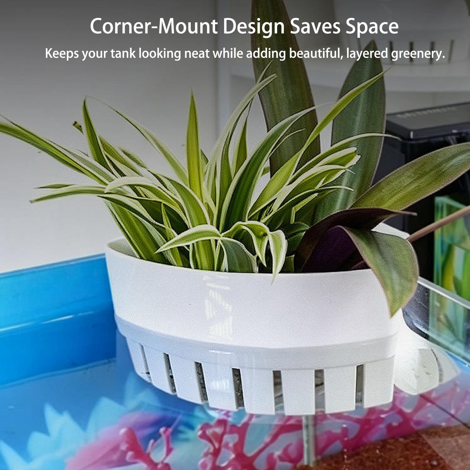 Aquarium Planted Background - Keranjang Tanaman Akuarium Hidroponik, Dekorasi Gantung