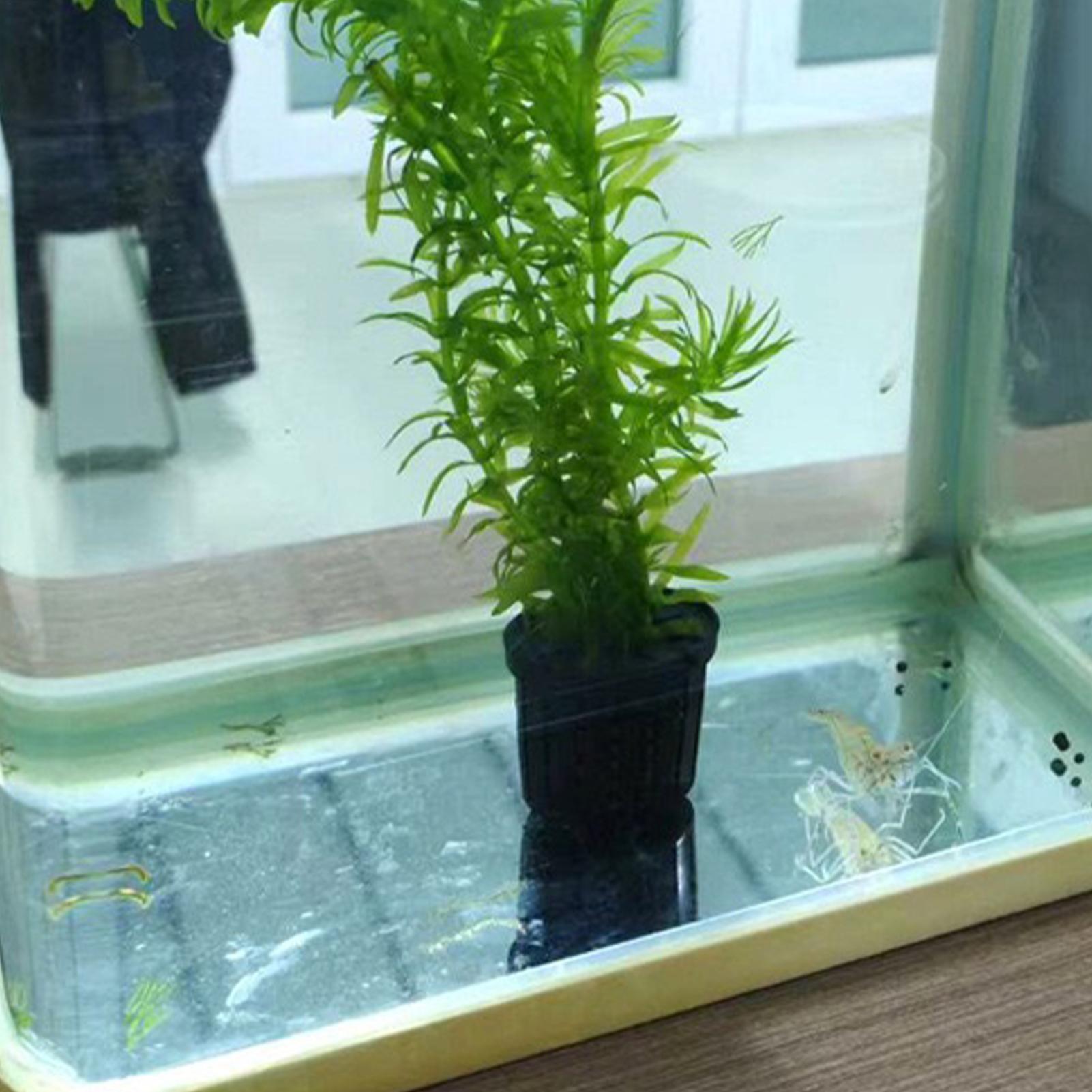 Aquarium Planted Background - 4 Buah Set Keranjang Tanaman Hidroponik