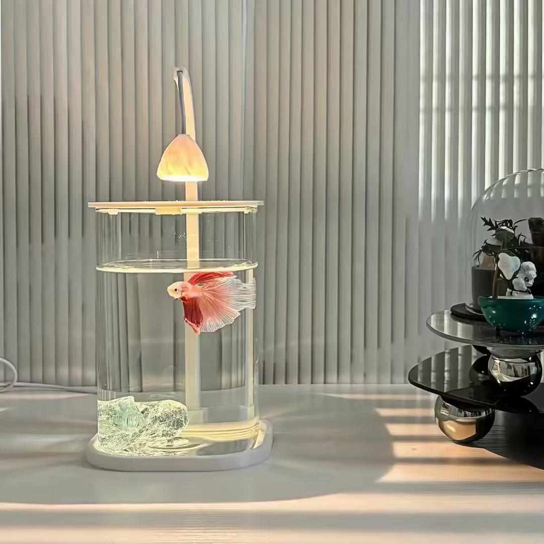 Planted Aquarium For Goldfish - 360 ° Akuarium Mini Transparan dengan