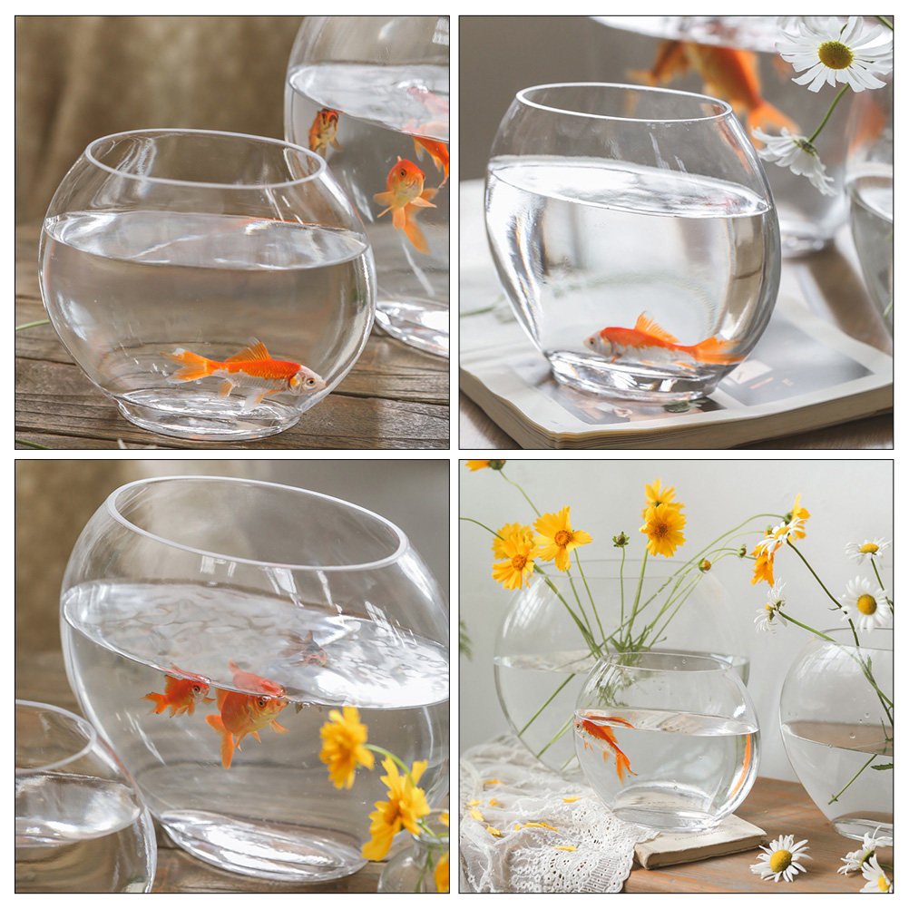 Planted Aquarium For Goldfish - Akuarium Kaca Elegan Desain Transparan Seperti