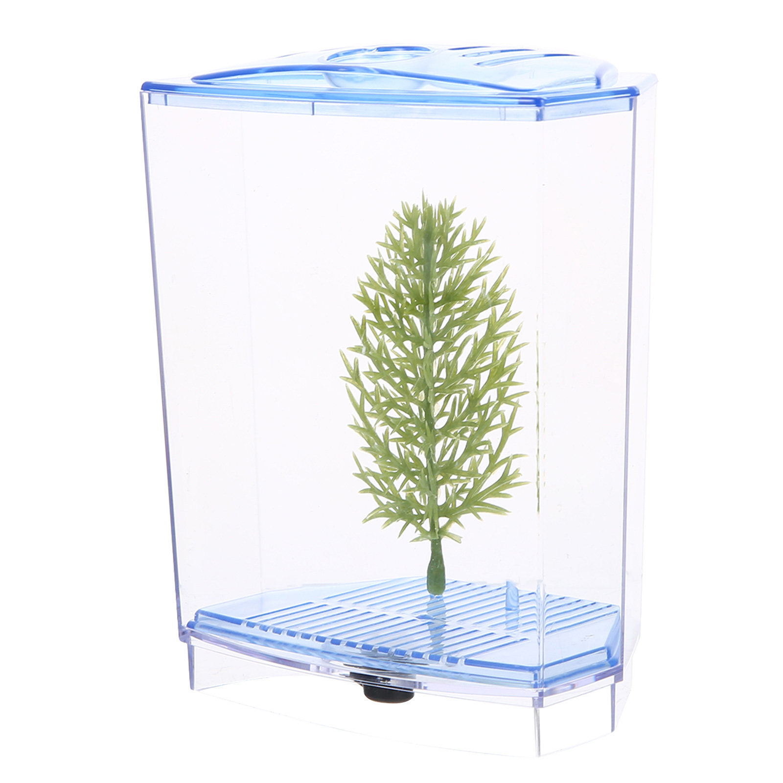 Planted Aquarium For Goldfish - Akuarium Plastik Transparan Mini untuk Meja
