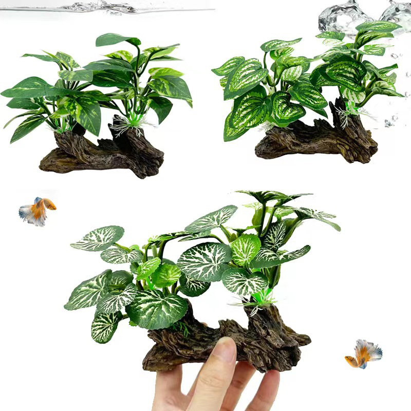 Aquarium Planted Background - Dekorasi Simulasi Tangki Ikan Akuarium Rumput