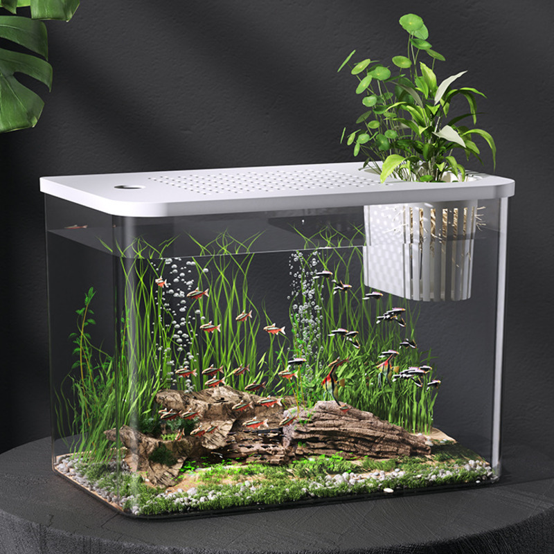 Planted Aquarium For Goldfish - Akuarium Plastik Dengan Tutup, Mini Tangki