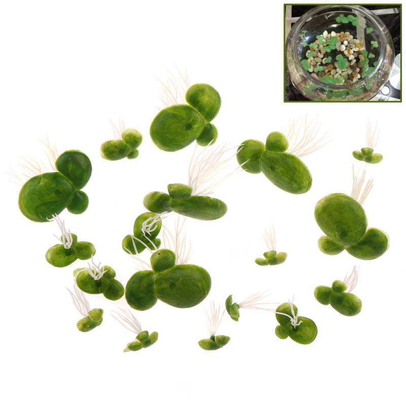 Aquarium Plant Roots - 【F】18pcs/set Dekorasi Akuarium Ikan Hias Taman