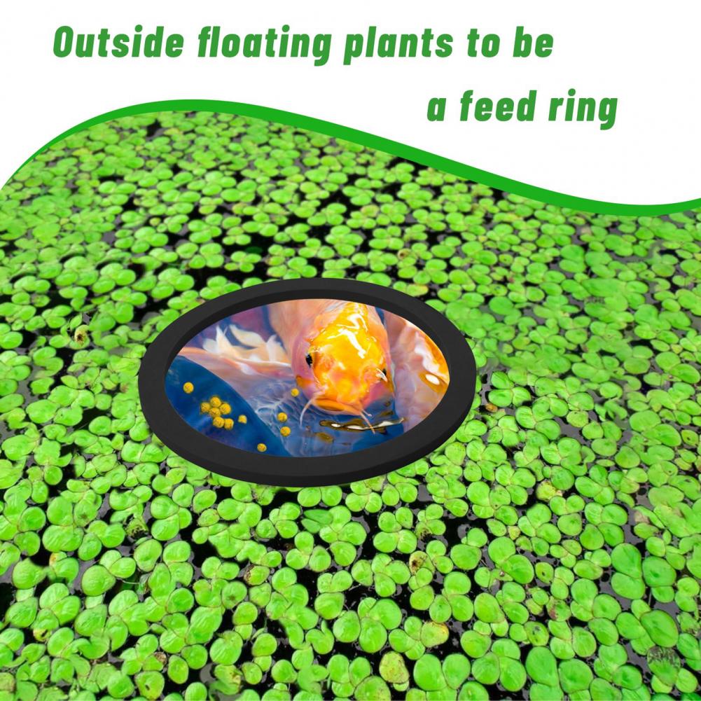Planted Aquarium For Goldfish - Cincin Mengambang Busa Eva untuk Tangki