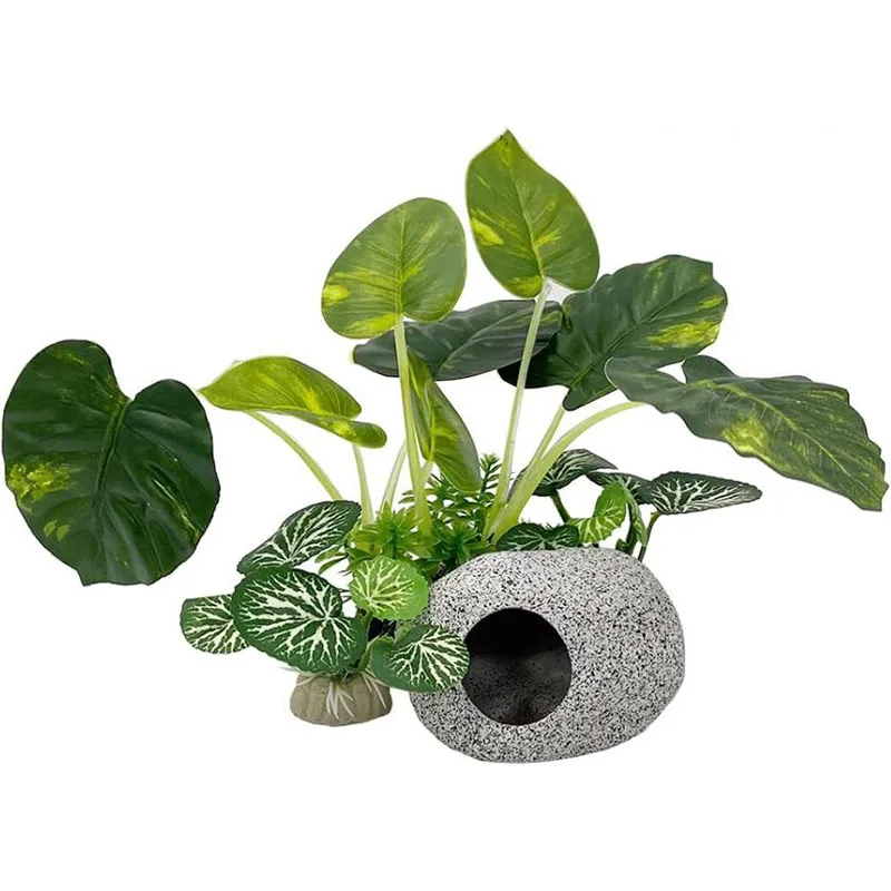 Aquarium Planted Background - Rumput bawah air kecil akuarium, dekorasi