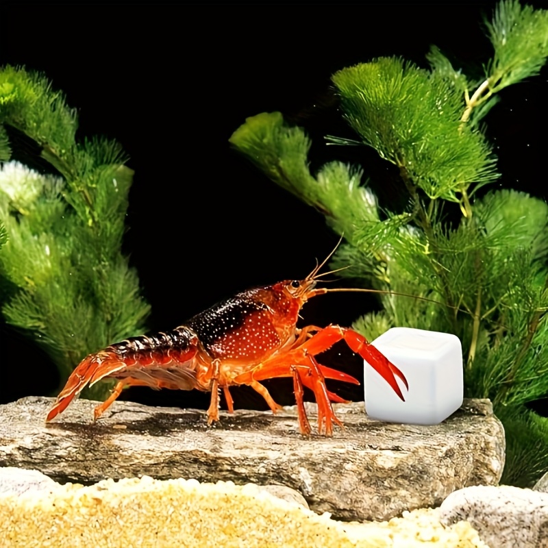 Aquarium Plant Roots - 6 Pcs Blok Kalsium Mineral untuk