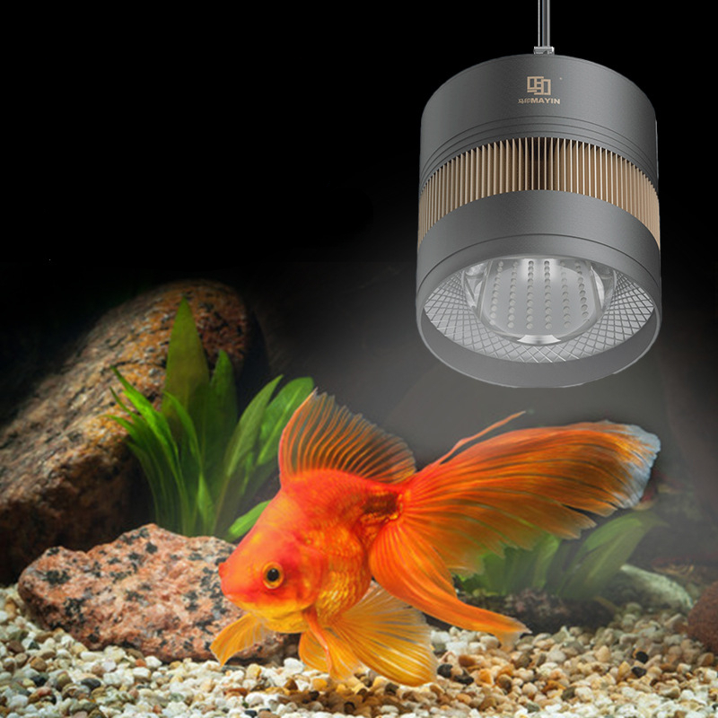 Planted Aquarium For Goldfish - Lampu LED Spektrum Penuh MAYIN untuk