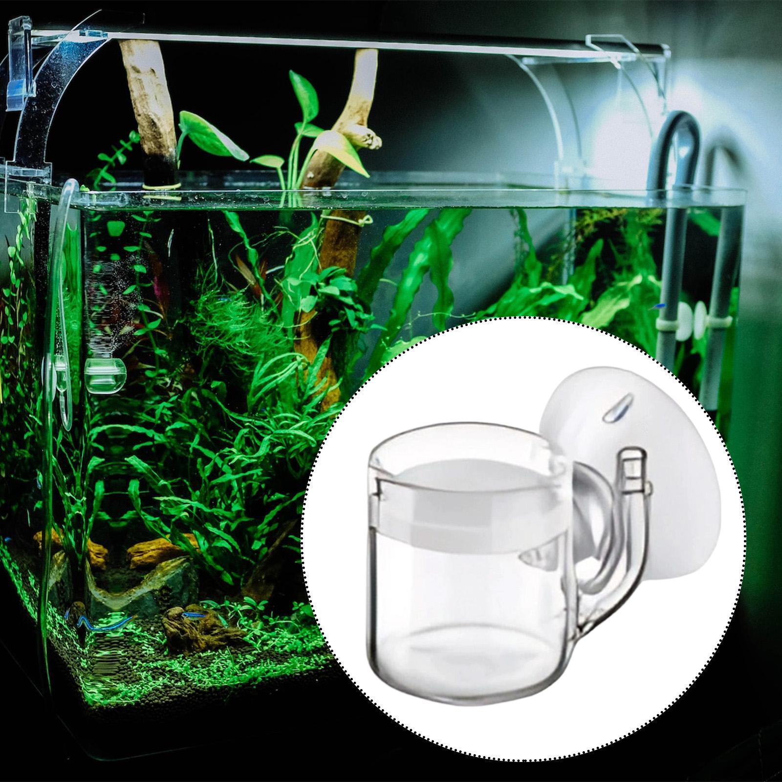 Kit Sistem CO2 Kaca Diffuser A - Planted Aquarium Co2 Kit ulasan dan harga