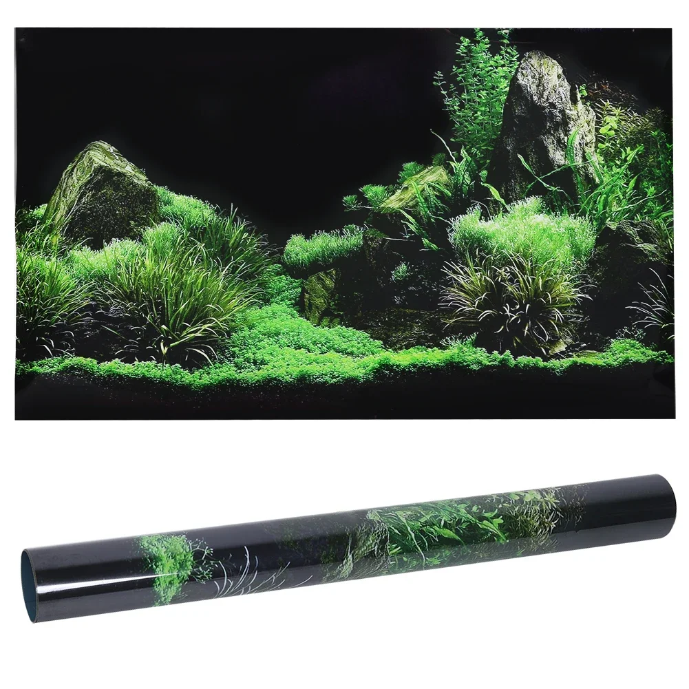 Latar belakang untuk akuarium  - Aquarium Planted Background ulasan dan harga