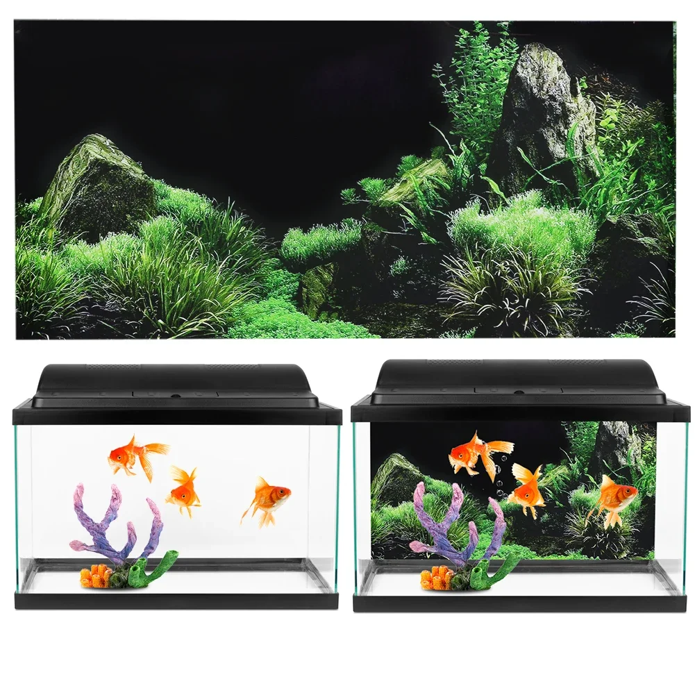 Latar belakang untuk akuarium  - Aquarium Planted Background ulasan dan harga