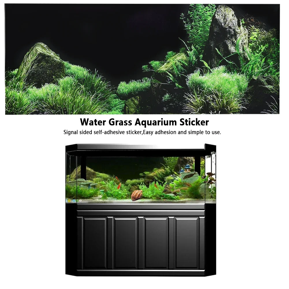 Latar belakang untuk akuarium  - Aquarium Planted Background ulasan dan harga