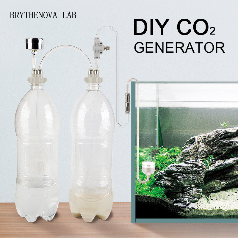 Generator CO2 untuk Akuarium T - Aquarium Plant No Co2 ulasan dan harga