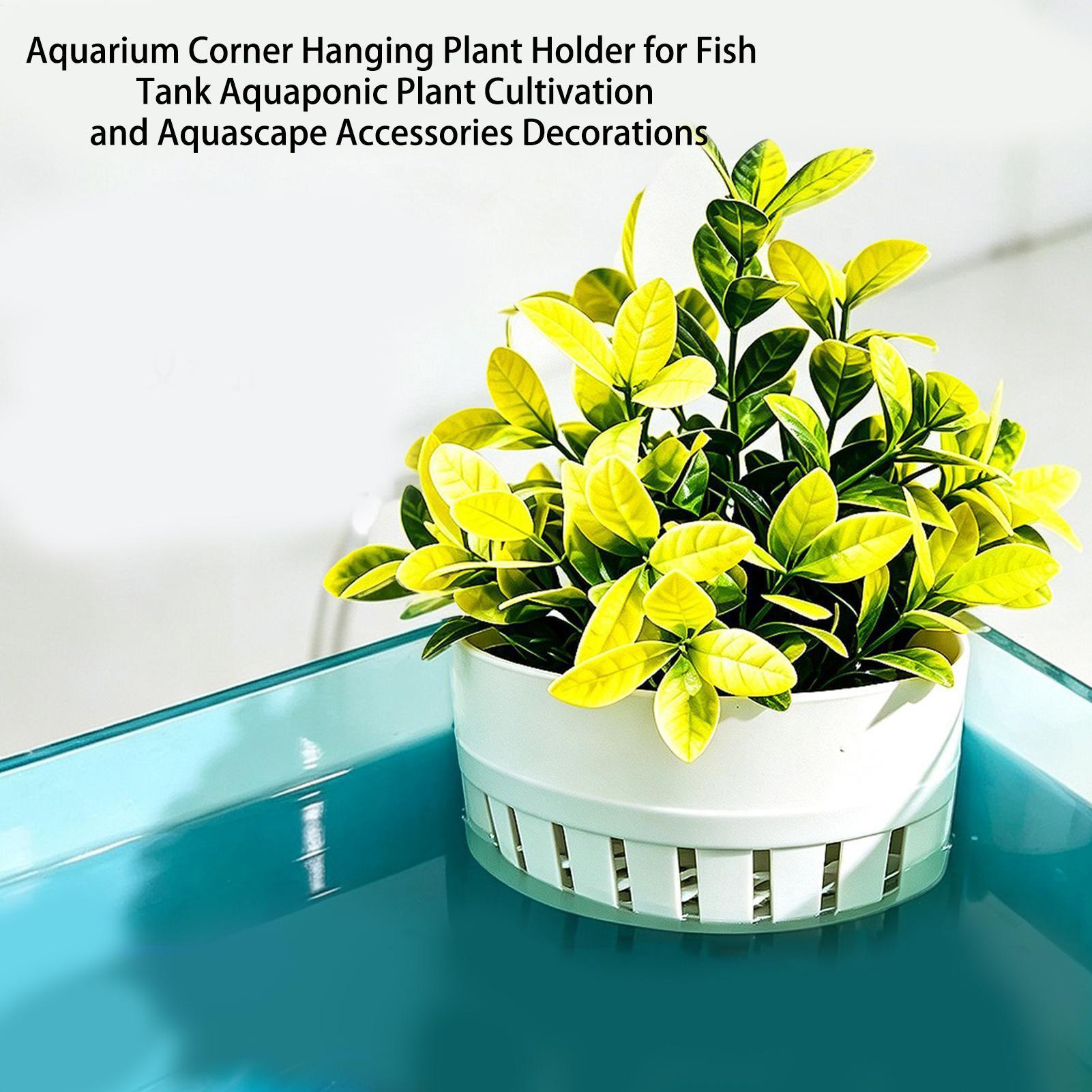 Keranjang Tanaman Akuarium Hid - Aquarium Planted Background ulasan dan harga