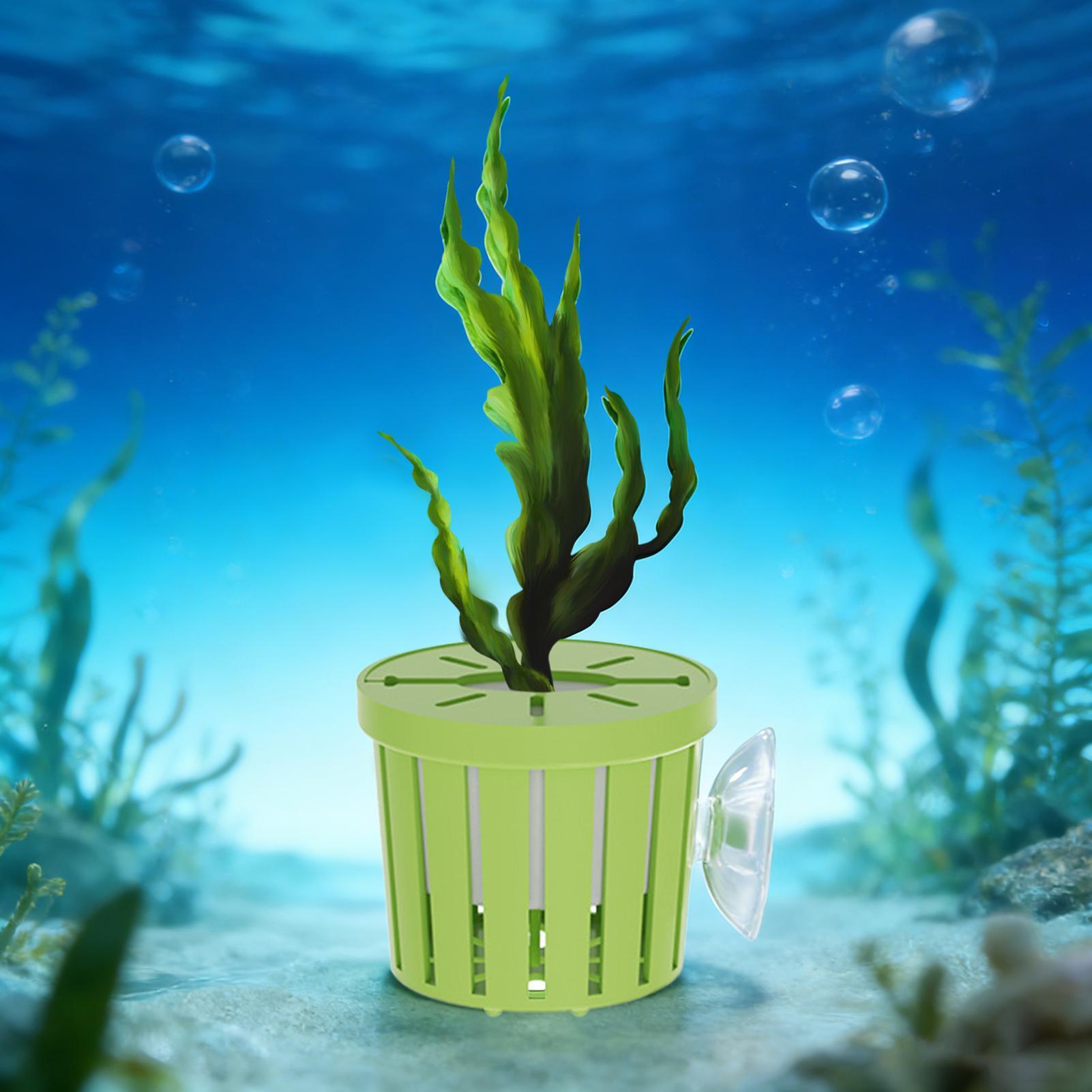 4 Buah Set Keranjang Tanaman H - Aquarium Planted Background ulasan dan harga