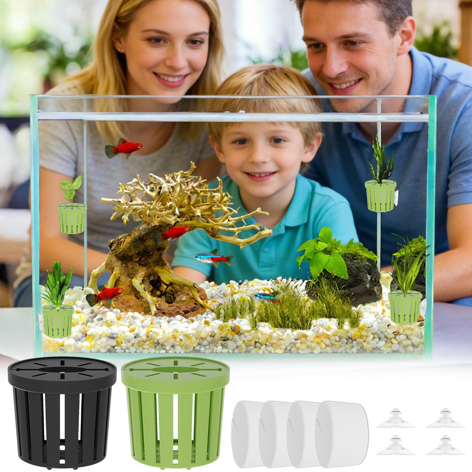 4 Buah Set Keranjang Tanaman H - Aquarium Planted Background ulasan dan harga