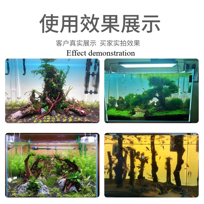 Panel Latar Belakang Akuarium  - Aquarium Planted Background ulasan dan harga