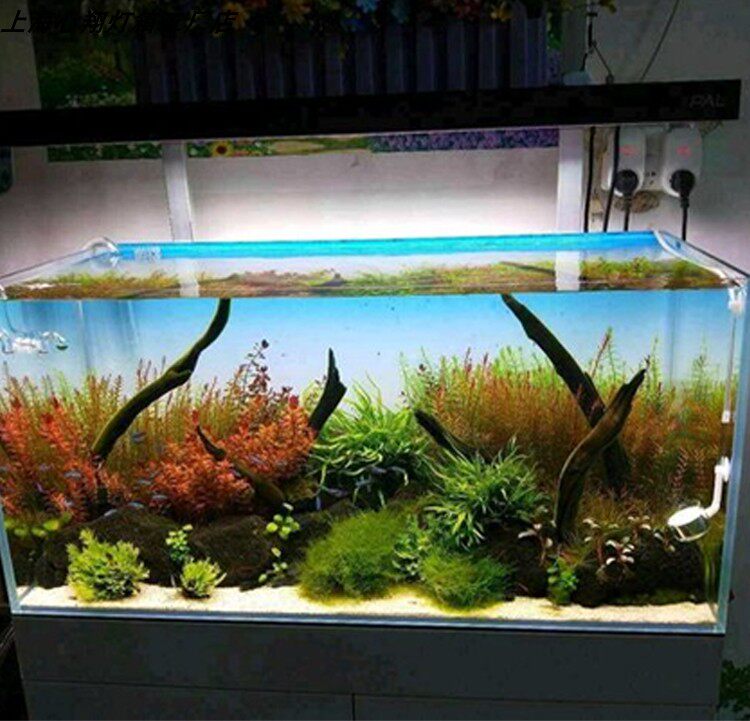 Panel Latar Belakang Akuarium  - Aquarium Planted Background ulasan dan harga