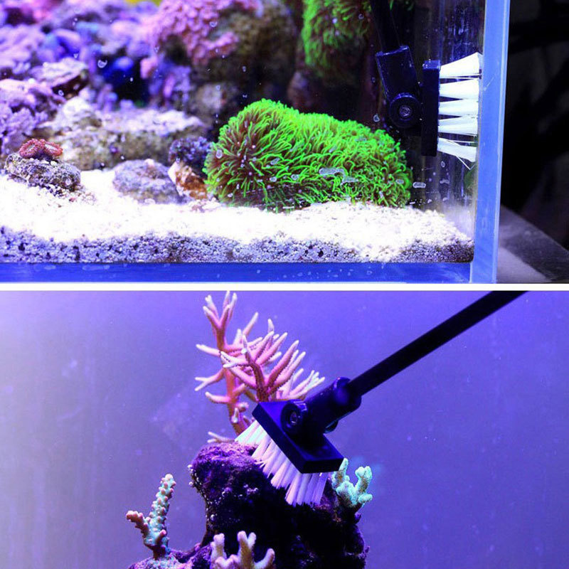 Sikat pembersih pancing tangki - Planted Aquarium Tools ulasan dan harga