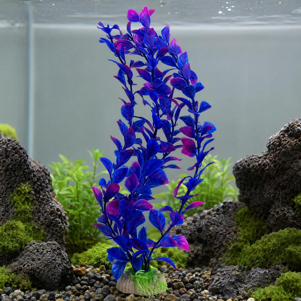 Tanaman Air Buatan dengan Alas - Planted Aquarium For Goldfish ulasan dan harga