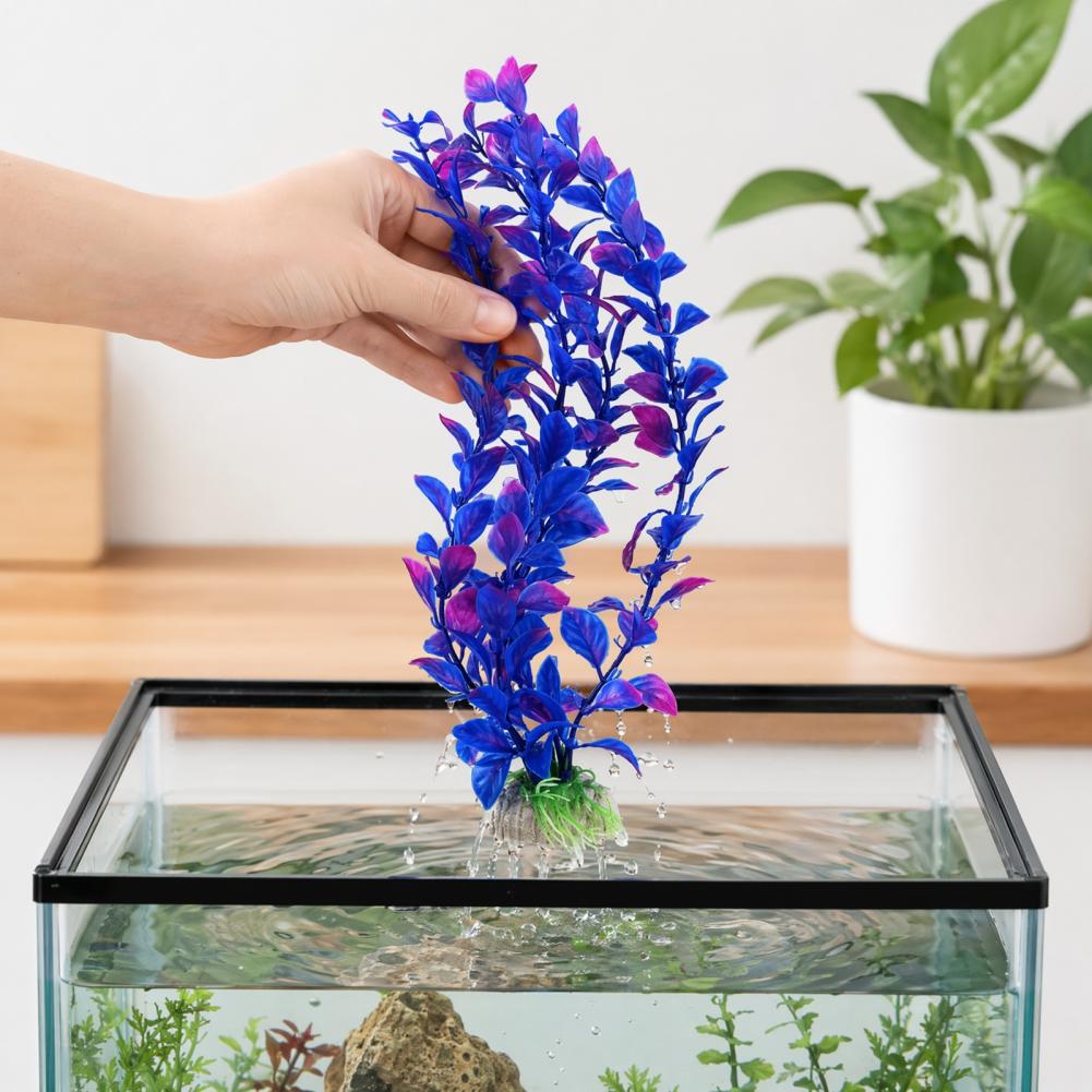 Tanaman Air Buatan dengan Alas - Planted Aquarium For Goldfish ulasan dan harga