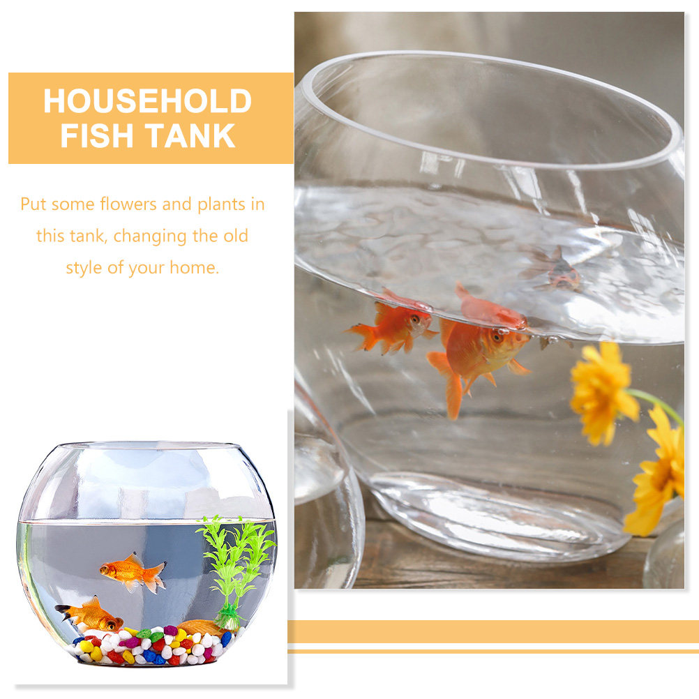 Akuarium Kaca Elegan Desain Tr - Planted Aquarium For Goldfish ulasan dan harga