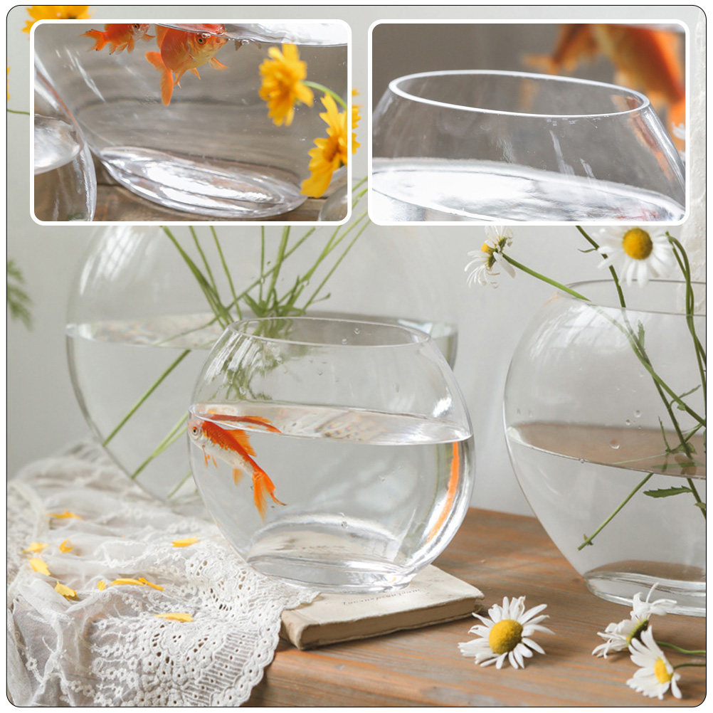 Akuarium Kaca Elegan Desain Tr - Planted Aquarium For Goldfish ulasan dan harga