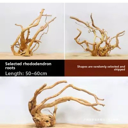 Cabang Kayu Apung Alami Untuk  - Aquarium Plant Roots ulasan dan harga