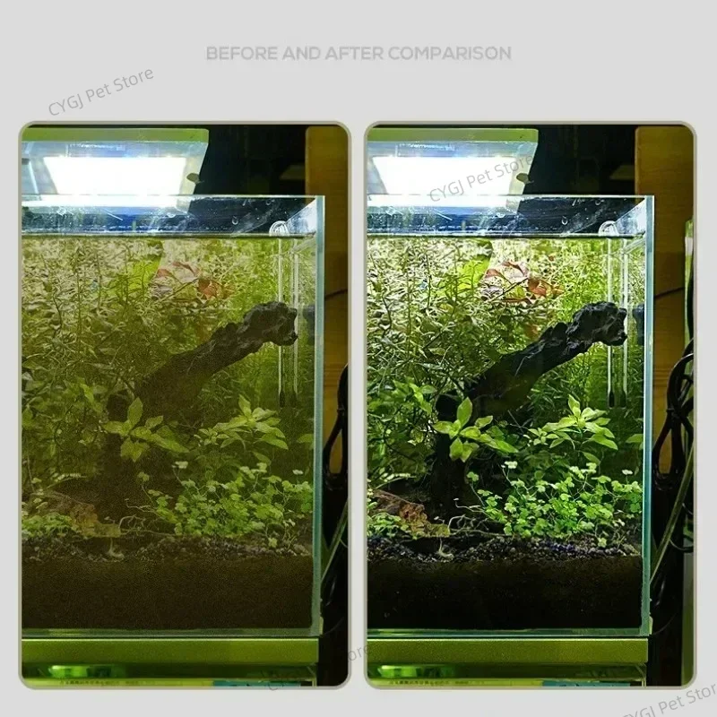 Alat Pembersih Tangki Ikan Pen - Planted Aquarium Maintenance Kit ulasan dan harga