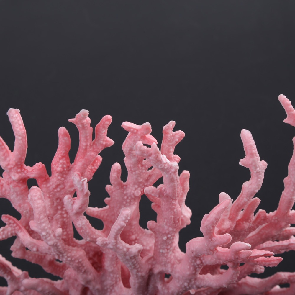Aksesori Dekorasi Tanaman Kara - Aquarium Planted Background ulasan dan harga