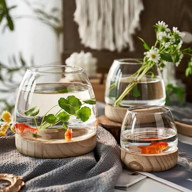 Akuarium Kaca Bulat Dekoratif  - Planted Aquarium For Goldfish ulasan dan harga
