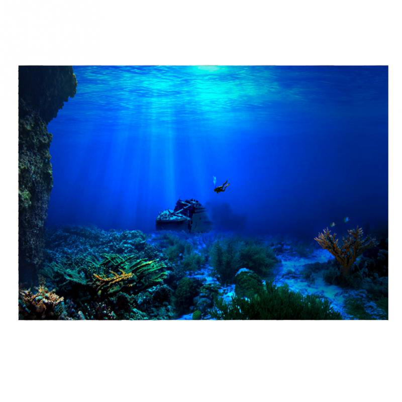 1 Buah Dekorasi Latar Belakang - Aquarium Planted Background ulasan dan harga