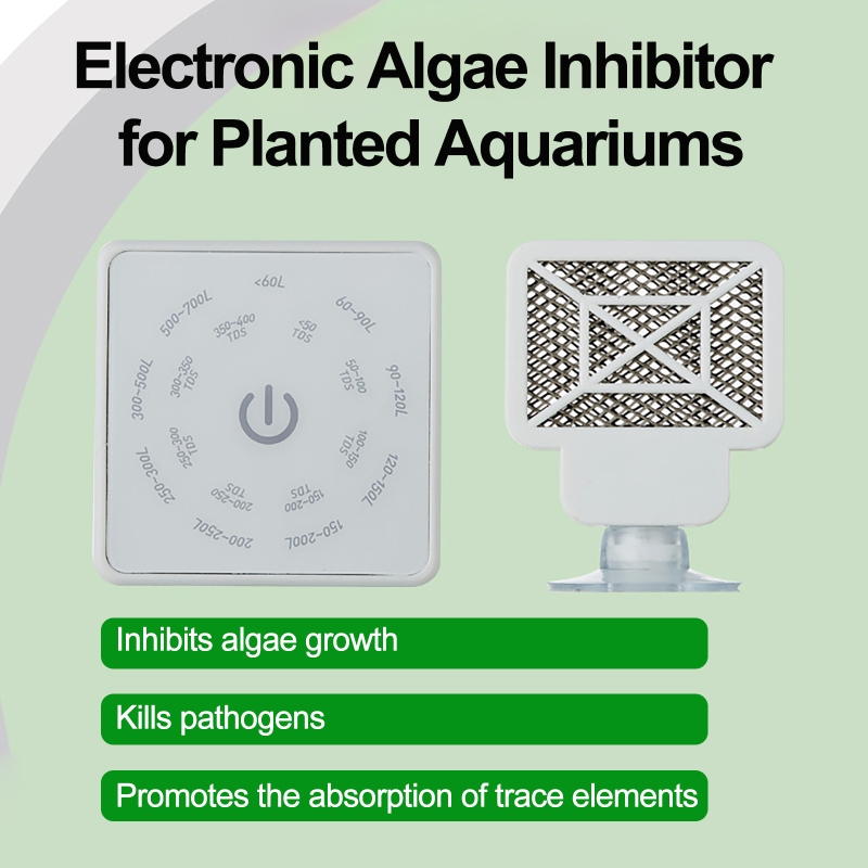 Alat Pembersih Tangki Ikan Aku - Planted Aquarium Tools ulasan dan harga