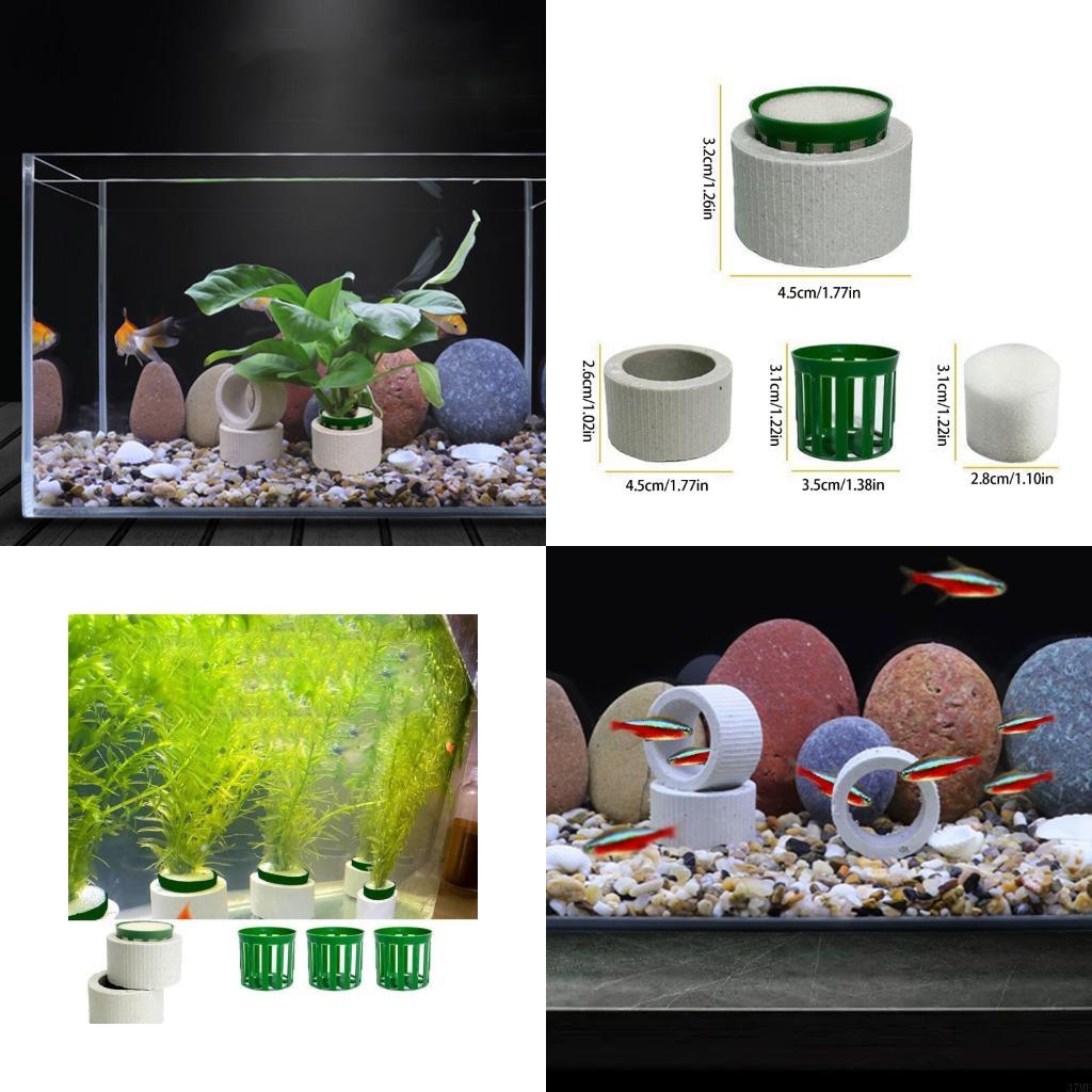 37ME 10 Buah Set Cincin Tetap  - Aquarium Planted Background ulasan dan harga