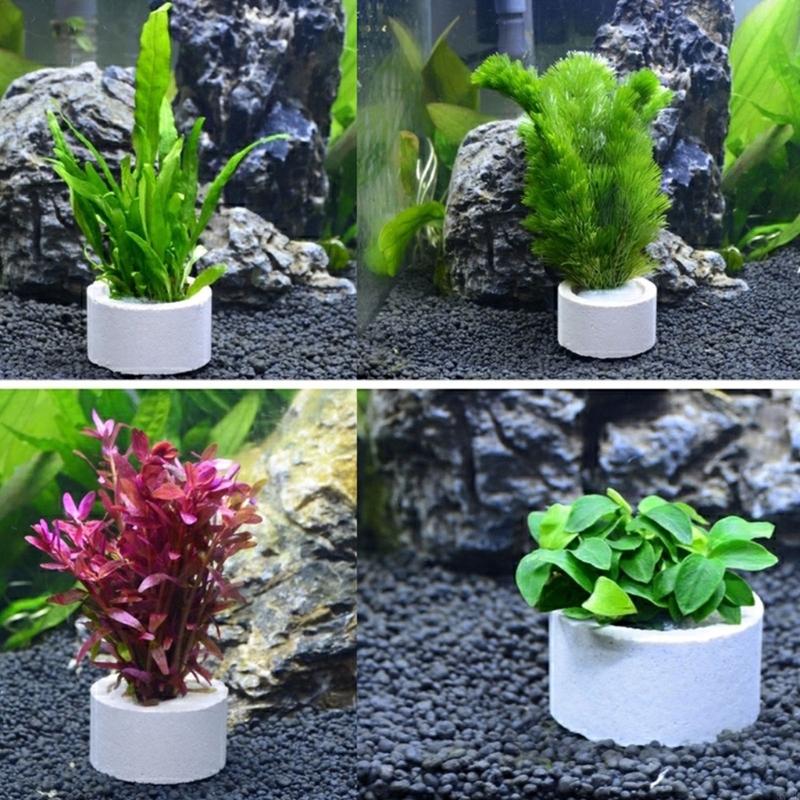 37ME 10 Buah Set Cincin Tetap  - Aquarium Planted Background ulasan dan harga