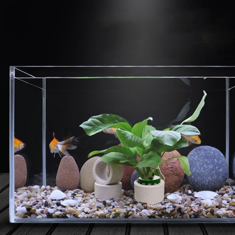 37ME 10 Buah Set Cincin Tetap  - Aquarium Planted Background ulasan dan harga