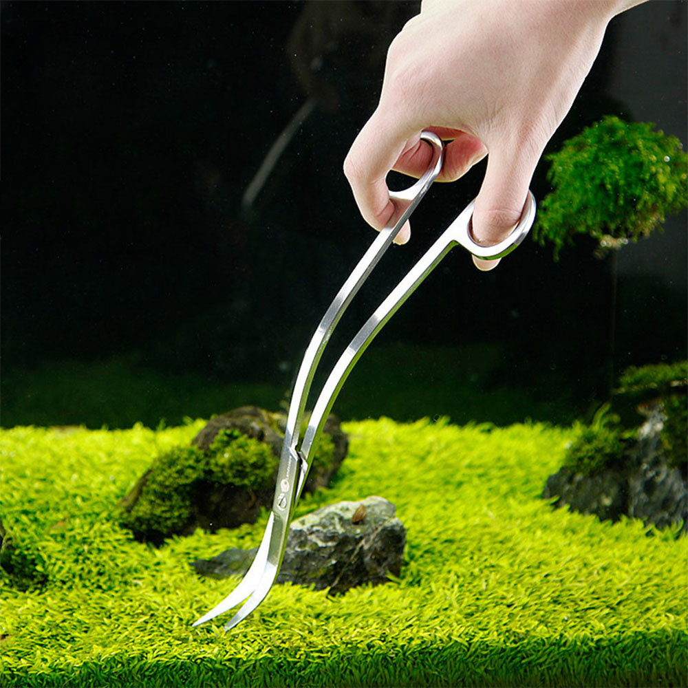 Aksesoris akuarium baja antika - Planted Aquarium Tools ulasan dan harga