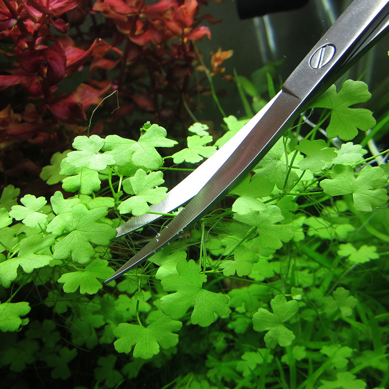 Aksesoris akuarium baja antika - Planted Aquarium Tools ulasan dan harga