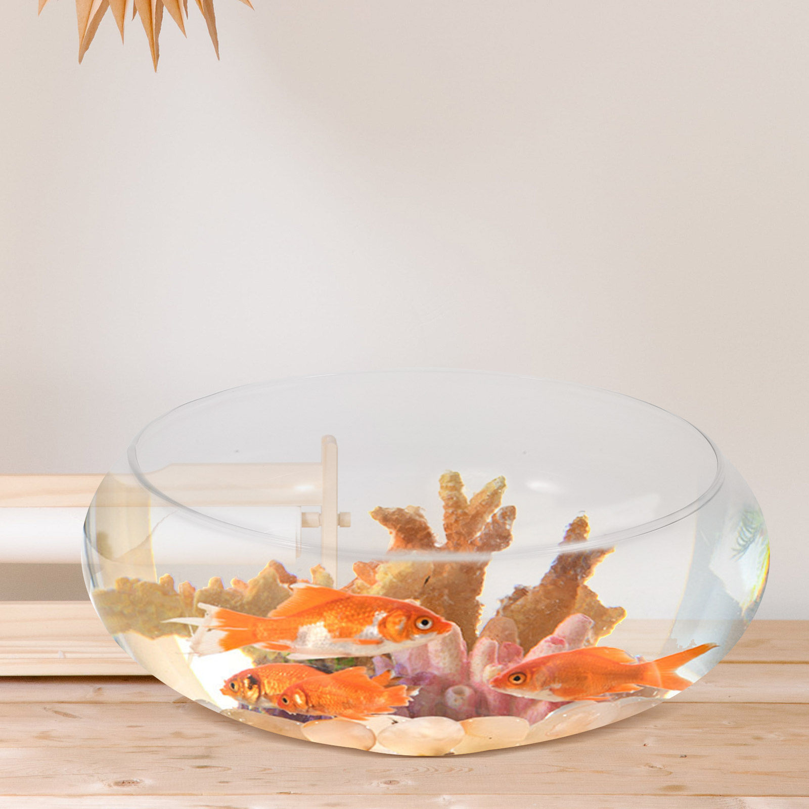 Akuarium Kaca Transparan Premi - Planted Aquarium For Goldfish ulasan dan harga
