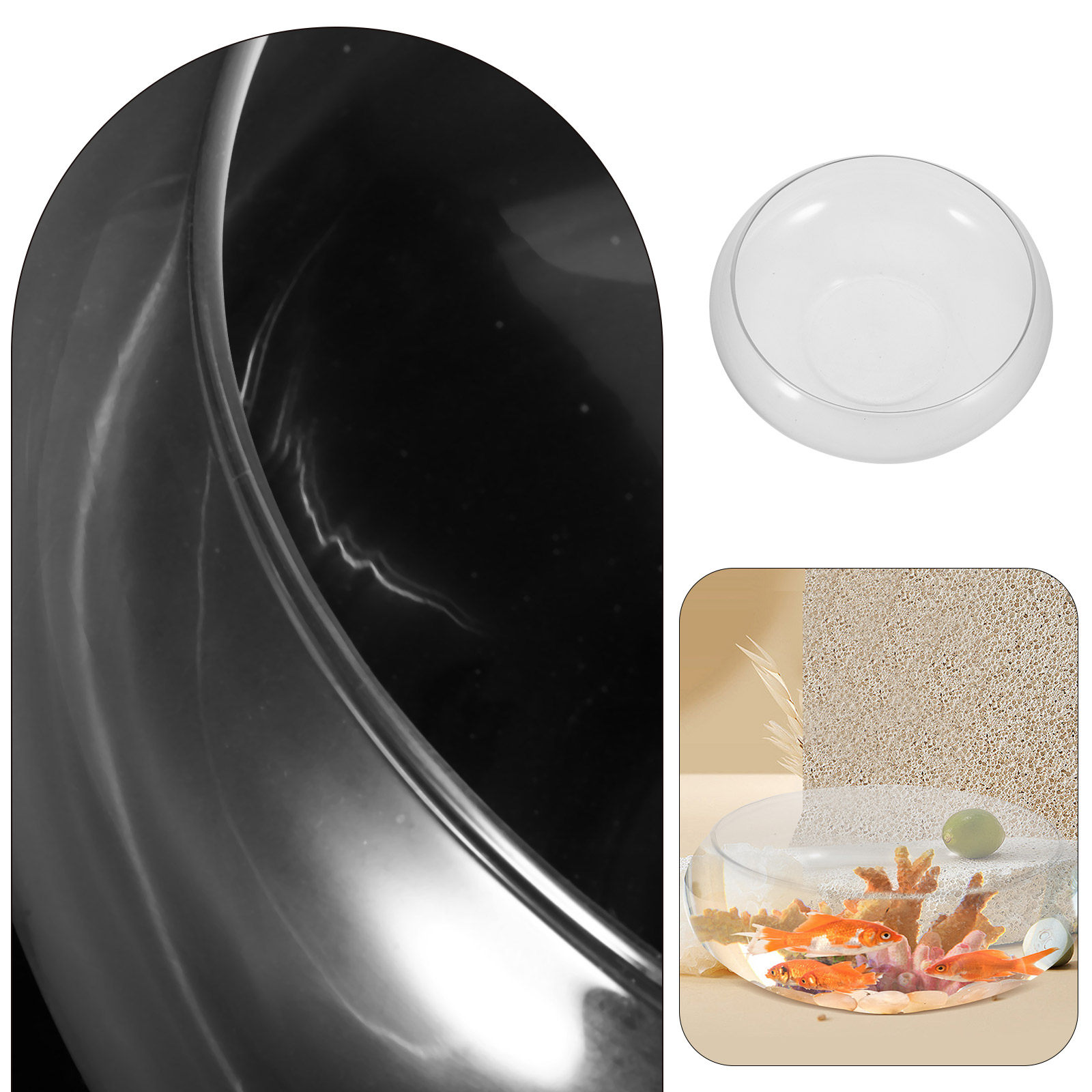 Akuarium Kaca Transparan Premi - Planted Aquarium For Goldfish ulasan dan harga