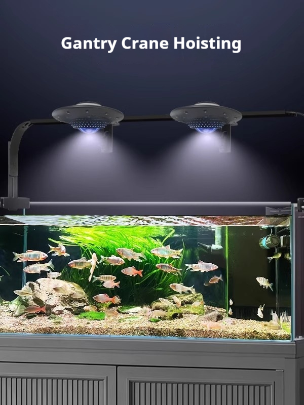Lampu Akuarium Ikan UFO, Lampu - Planted Aquarium For Goldfish ulasan dan harga