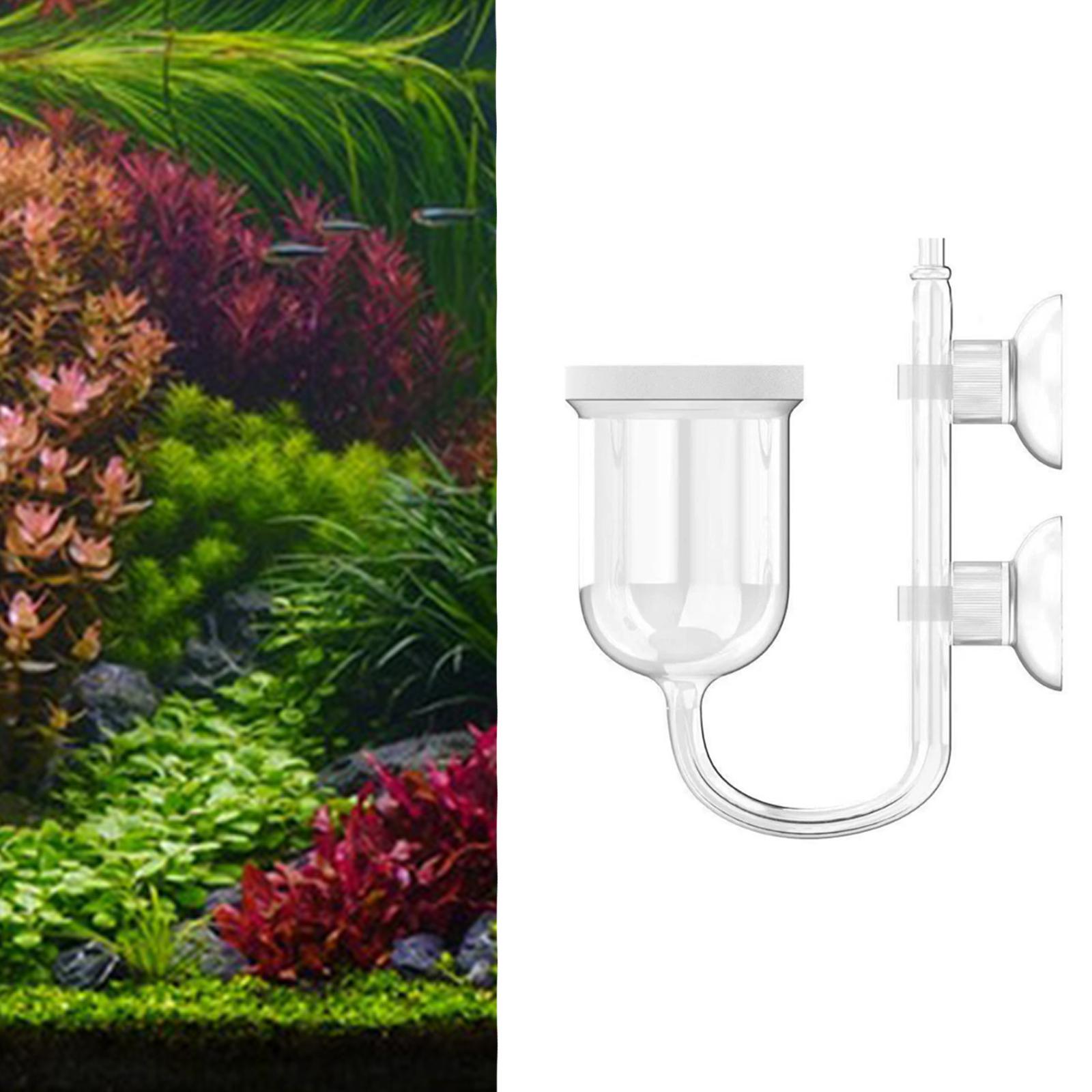 Diffuser CO2 Akuarium Kaca Ben - Aquarium Plant No Co2 ulasan dan harga