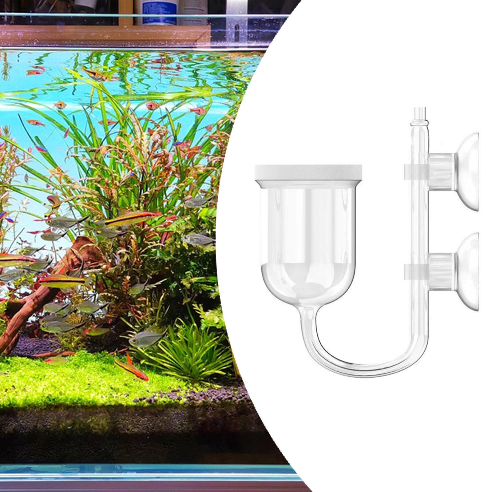 Diffuser CO2 Akuarium Kaca Ben - Aquarium Plant No Co2 ulasan dan harga