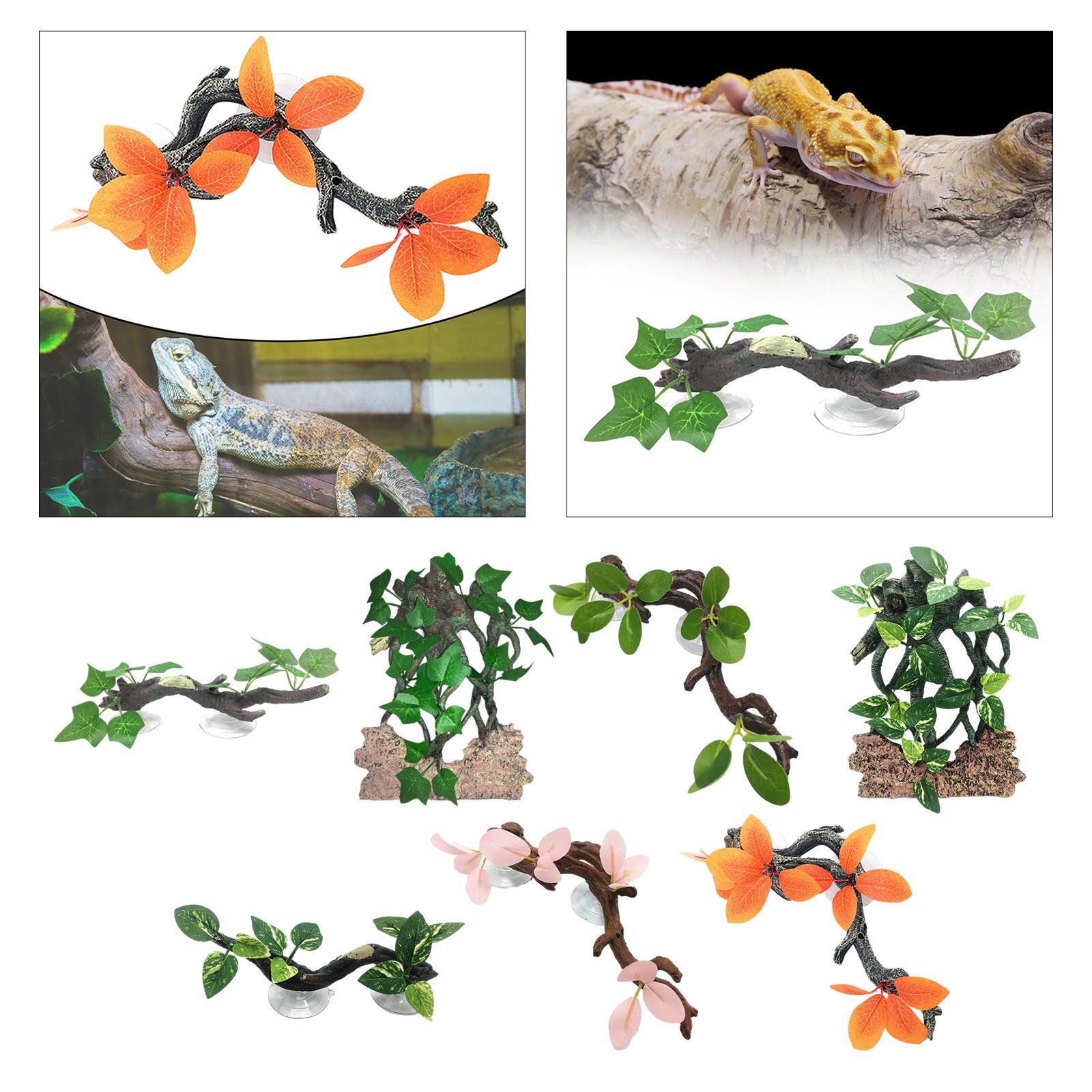 Gecko dekorasi tanaman akuariu - Aquarium Planted Background ulasan dan harga