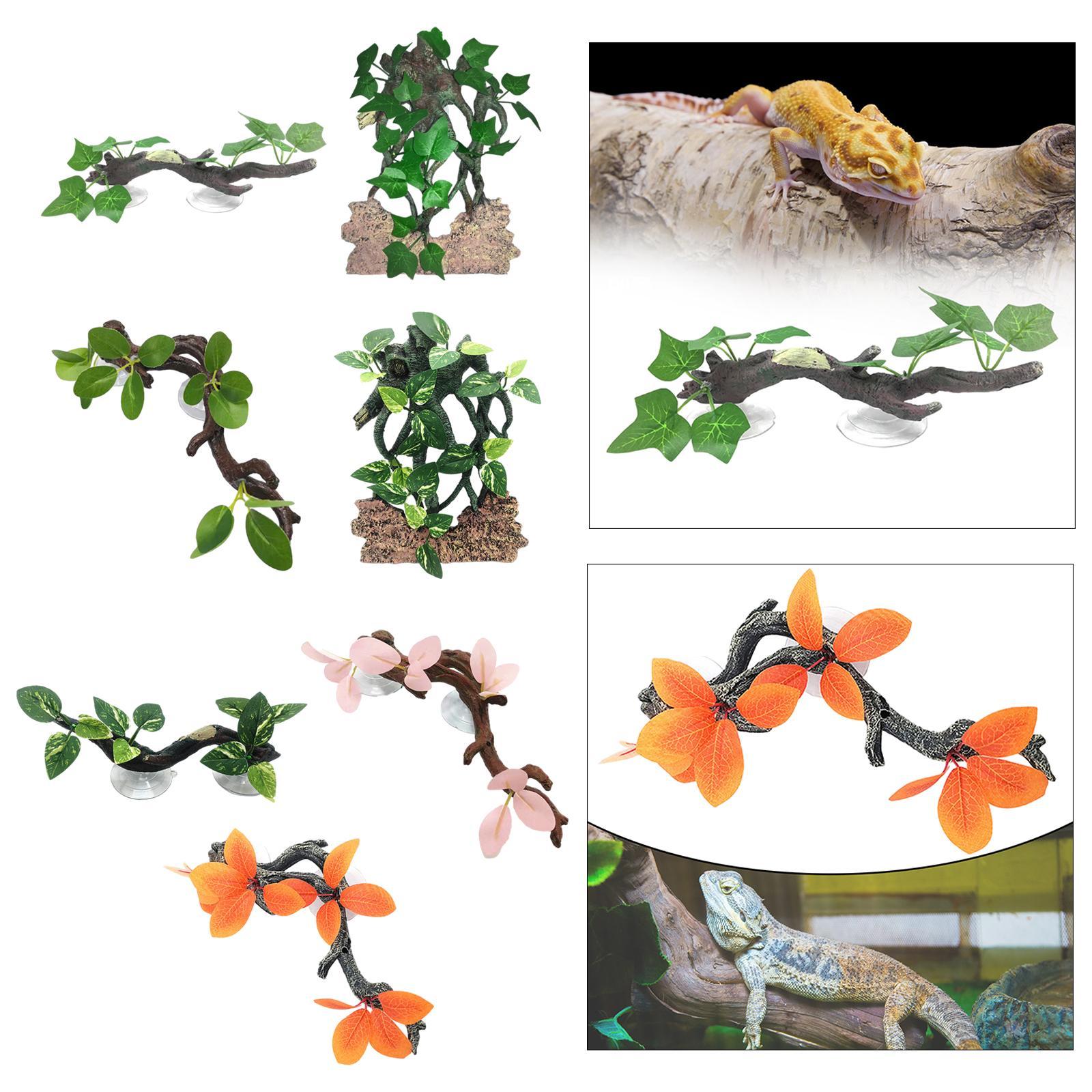 Gecko dekorasi tanaman akuariu - Aquarium Planted Background ulasan dan harga