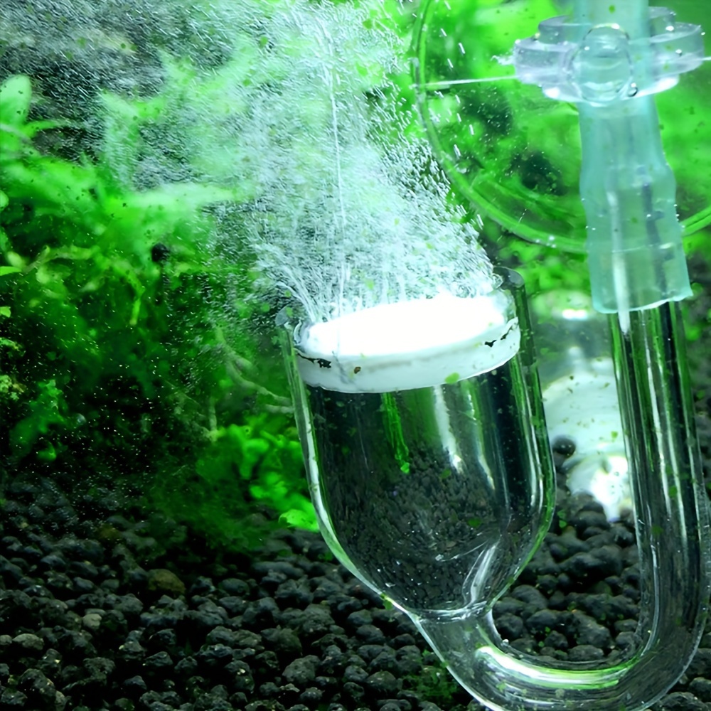Aquarium kaca CO2 Atomizer Dif - Aquarium Plant No Co2 ulasan dan harga