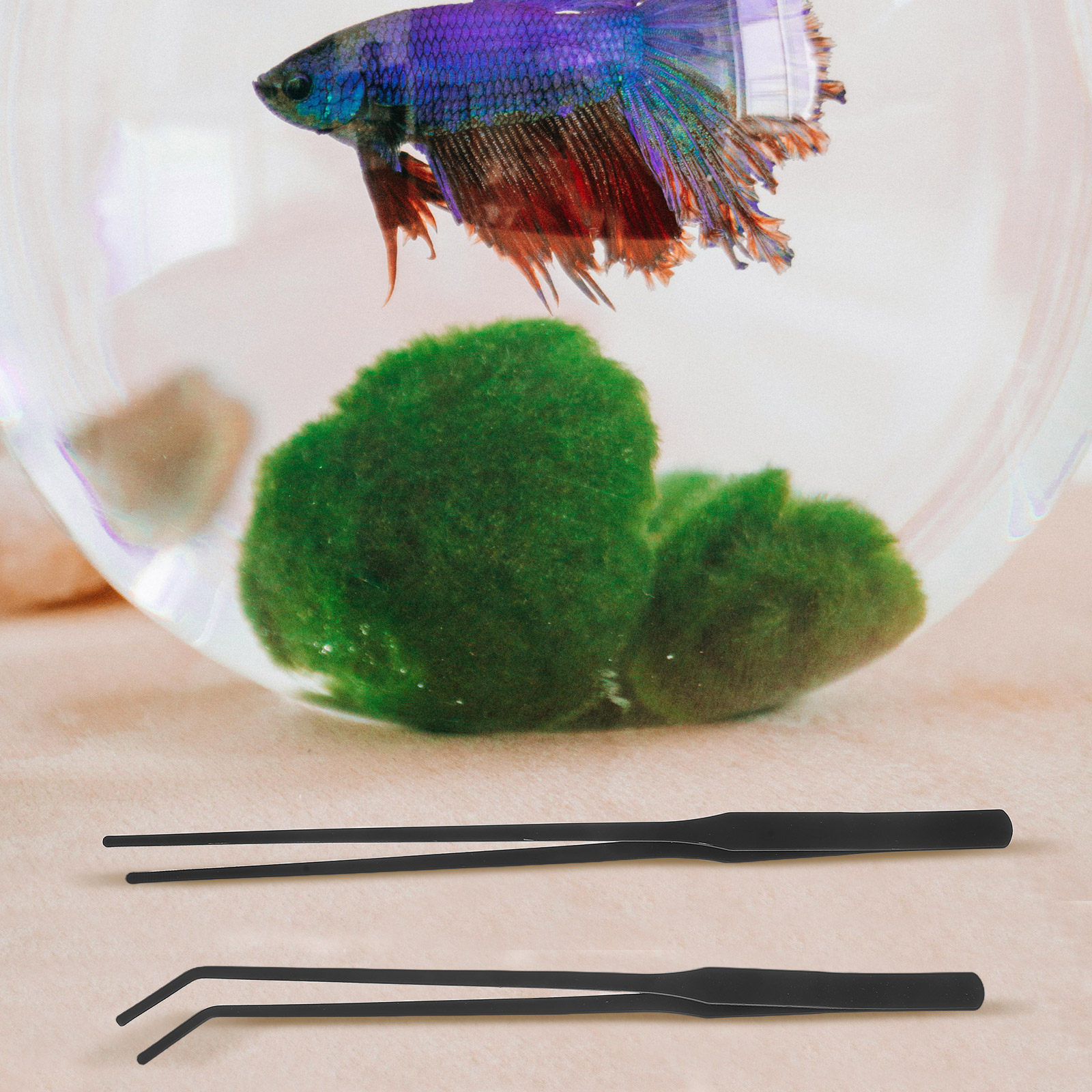4pcs Pinset Akuarium Baja Taha - Planted Aquarium Maintenance Kit ulasan dan harga