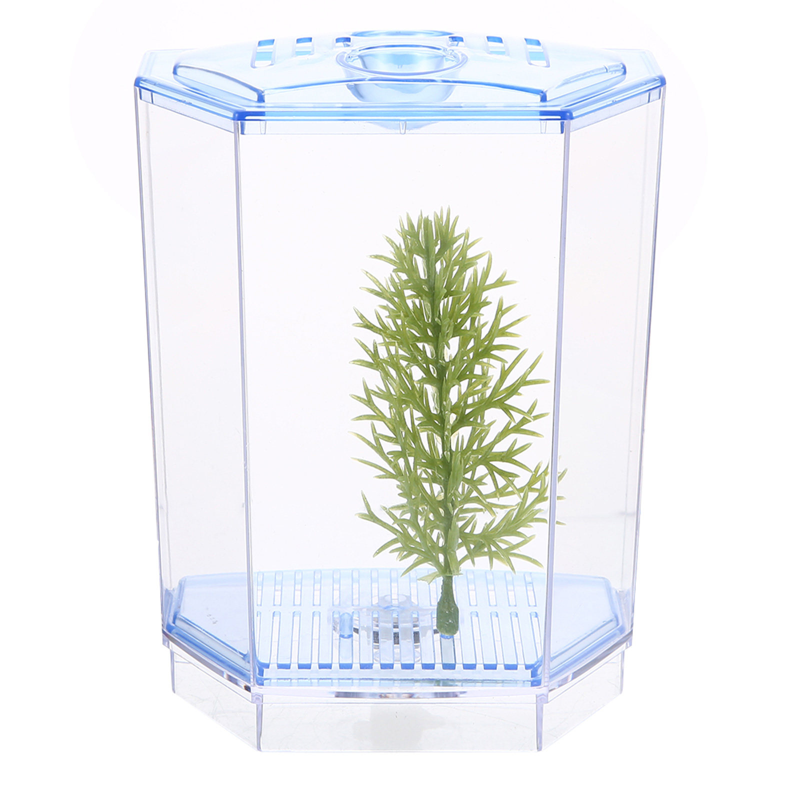 Akuarium Plastik Transparan Mi - Planted Aquarium For Goldfish ulasan dan harga